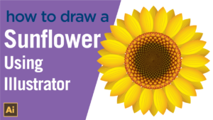 How to draw a Sunflower in vector using Illustrator