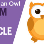 How to draw an Owl logo in Vector